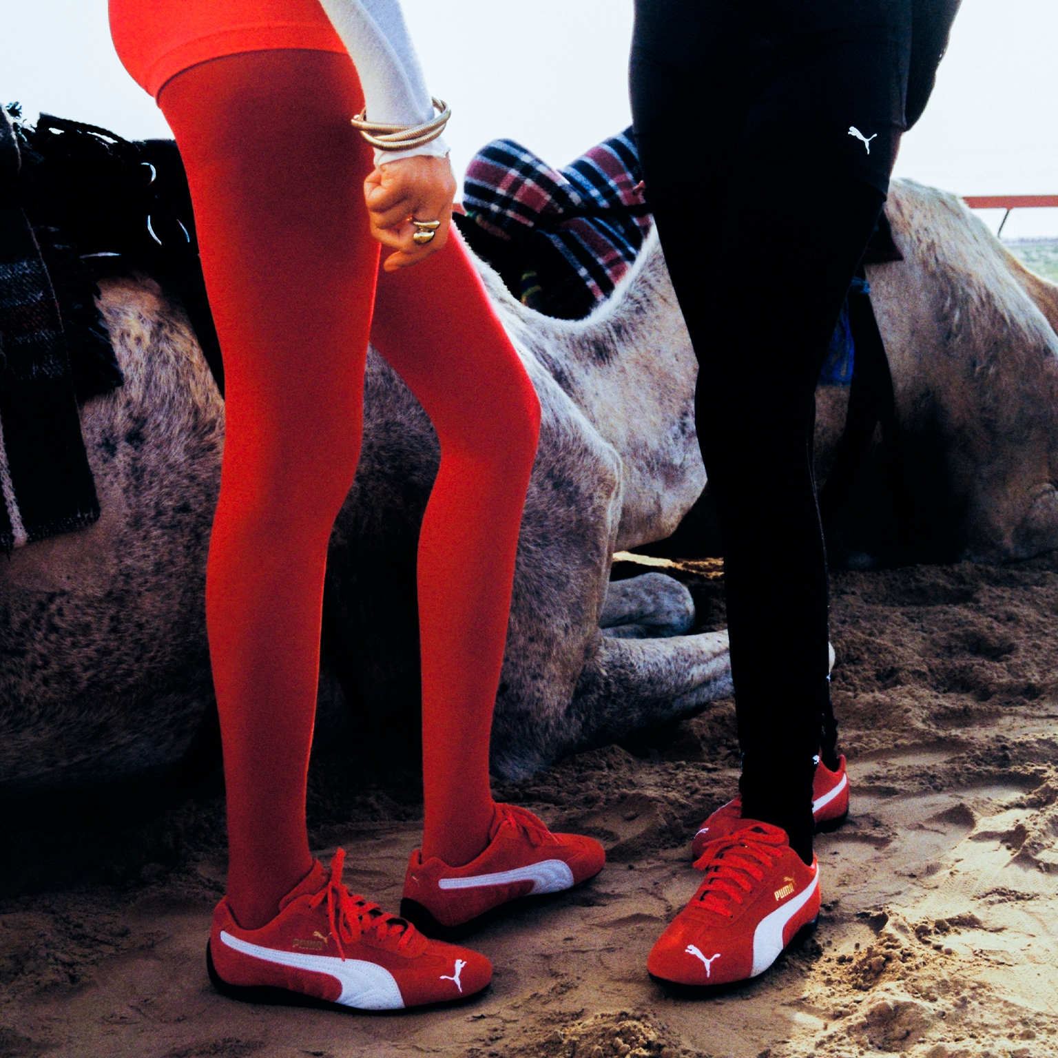 Official Website Puma United Arab Emirates